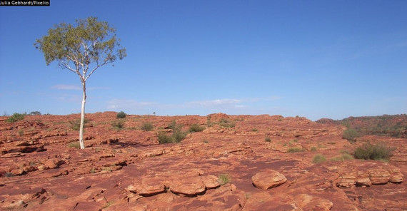The Australian Outback. Picture: Julia Gebhardt/Pixelio The Australian Outback. Picture: Julia Gebhardt/Pixelio
