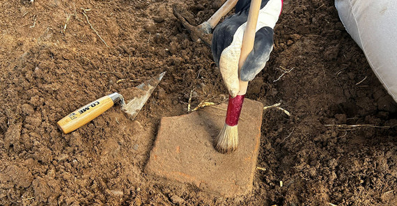 Auf sandigem Boden liegt eine freigelegte fast A4-Blatt-große Scherbe. Eine Hand im Handschuhe legt sie mit einem Pinsel weiter frei.