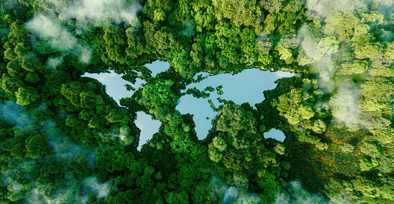 How do people work together to tackle global problems such as climate change? Aerial view of a lake in the forest.
