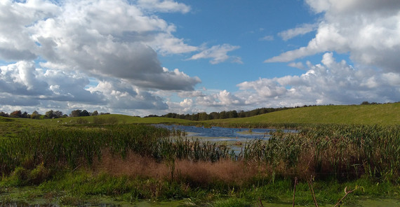Soll bei Damerow. Foto: Carlos Miguel Acame Poveda. Soll bei Damerow. Foto: Carlos Miguel Acame Poveda.