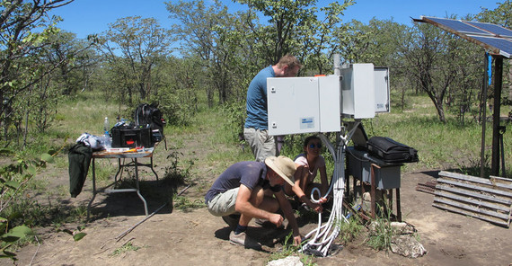 Doktorand Tim Herkenrath (stehend), Masterstudentin Helena Wiskott und Niels Blaum (mit Hut) beim Anschluss von Messsensoren an die Campbell Logger. Die Transpirationsmessungen werden alle 30 Minuten gespeichert. | Foto: Dr. Katja Geissler Doktorand Tim Herkenrath (stehend), Masterstudentin Helena Wiskott und Niels Blaum (mit Hut) beim Anschluss von Messsensoren an die Campbell Logger. Die Transpirationsmessungen werden alle 30 Minuten gespeichert. Solarpanele versorgen die Sensoren und Logger. | Foto: Dr. Katja Geissler