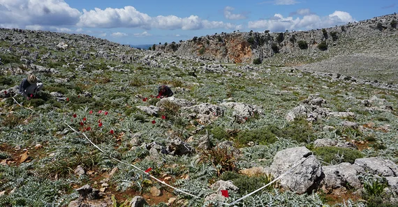 Felsige Landschaft, in der ein Stück mit Flatterband abgesperrt ist