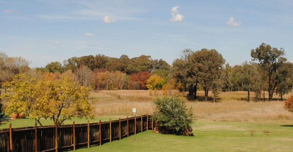 Südafrikanische Landschaft. Foto: Arne Peters Südafrikanische Landschaft. Foto: Arne Peters