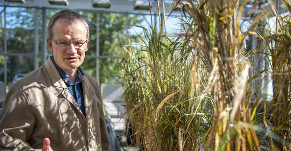 Prof. Dr. Michael Lenhard. Foto: Thomas Roese