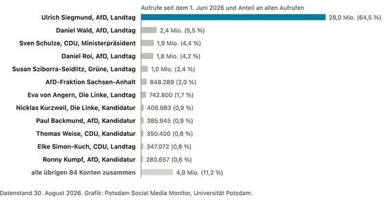 Die zwölf meistgesehenen Konten des Landeskorpus Sachsen-Anhalt und alle übrigen zusammen; gezählt werden die Aufrufe der seit dem 1. Juni 2026 veröffentlichten Beiträge. Zwei Drittel aller Aufrufe im Wahlkampf in Sachsen-Anhalt entfallen auf ein einziges Konto.