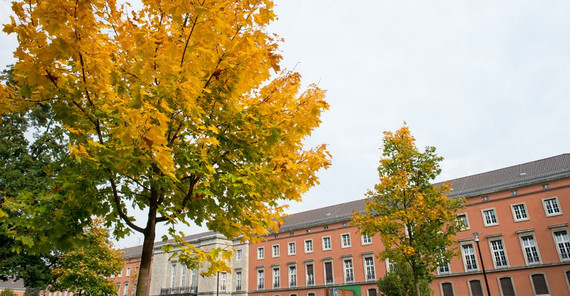 Foto: Karla Fritze Foto: Karla Fritze