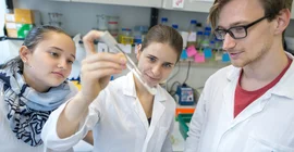 Forschen im Schichtdienst: Die Studierenden des Potsdamer iGEM-Teams sind derzeit täglich im Labor. Hier (v.l.n.r.): Pauline Kuschel, Sonja Reuter und Felix Lohrke. Foto: Thomas Roese.