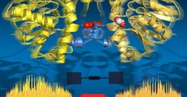 Abbildung: Wassermoleküle bilden eine molekulare Telefonschnur im Enzym Defluorinase, über die Informationen über den Zwischenstand der chemischen Reaktion weitergeleitet werden. Gafik: Jörg Harms/MPSD.