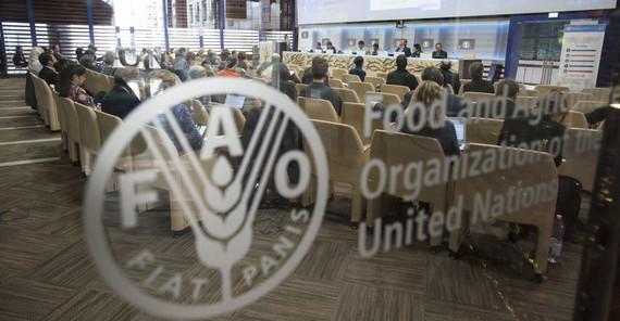 Experten unter sich: Im Hauptquartier der Food and Agriculture Organization of the United Nations (FAO) in Rom. Foto: FAO/Giorgio Cosulich de Pecine. Experten unter sich: Im Hauptquartier der Food and Agriculture Organization of the United Nations (FAO) in Rom. Foto: FAO/Giorgio Cosulich de Pecine.