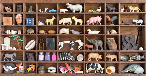 Viele Menschen sammeln gern. Aber was sagt das über uns aus? Setzkasten mit vielen verschiedenen Sammelgegenständen