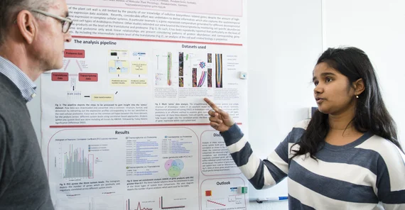 Quelle: Thomas Roese