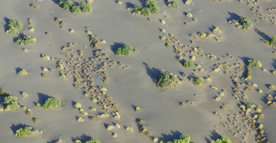 Luftaufnahme vom Suguta-Tal in Nordkenia. Foto: Martin Trauth