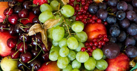 Picture: Karla Fritze