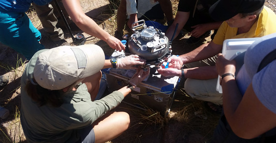 Sedimentfilter. Foto:Malte Stornow. Sedimentfilter. Foto:Malte Stornow.