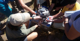 Sedimentfilter. Foto:Malte Stornow.