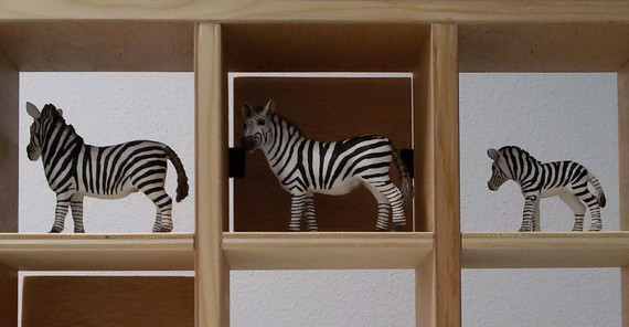 Versuchsaufbau von XPRAG. Foto: Choonkyu Lee. Versuchsaufbau von XPRAG. Foto: Choonkyu Lee.