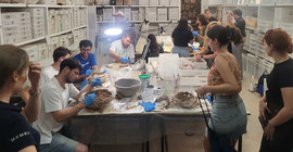 Teilnehmende der Summer School in der Werkstatt bei Freilegearbeiten.