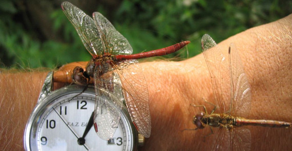 Foto: Jörg Müller Foto: Jörg Müller