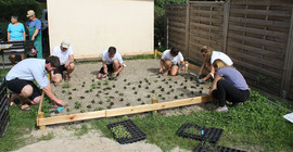 Anlage eines Schaubeetes mit Wildpflanzen in der Kleingartenanlage Nordend in Berlin-Pankow