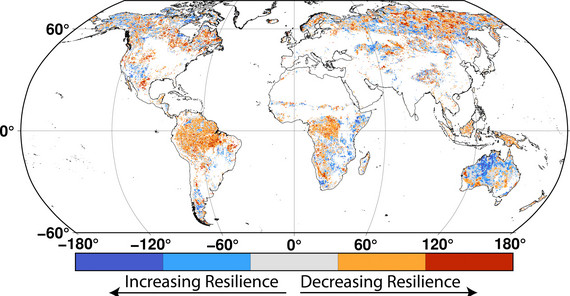 Globale Trends in der Widerstandsfähigkeit der Vegetation seit den 2000er Jahren | Bild: T. Smith Abbildung der Erde vom Satelliten zeigt Veränderungen der Vegetation