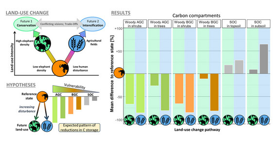 Graphical representation of carbon storage