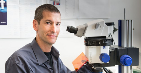 Foto: Salim Seyfried (Karla Fritze) Foto: Salim Seyfried (Karla Fritze)