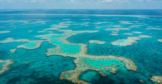 The Great Barrier Reef.