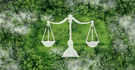 Scales of justice. A bird's eye view of trees in the background.