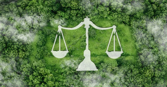 Scales of justice. A bird's eye view of trees in the background.