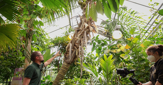 Eine Kamerafrau filmt Steffen Ramm im Botanischen Garten zu Potsdam.