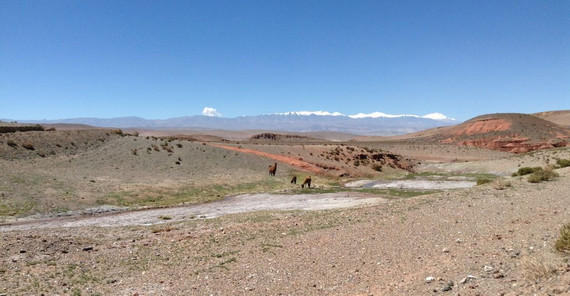 A Trip through the Andes Impressions from the Argentinean Puna. The photo is from Heiko Pingel. Beim anklicken öffnet sich das Bild im neuen Fenster.
