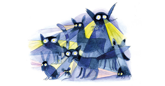 Bildquelle: Barbara Schumann. Bildquelle: Barbara Schumann.