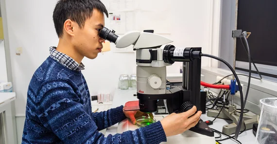 PhD student Van-Cuong Pham in the lab | Photo: Kevin Ryl
