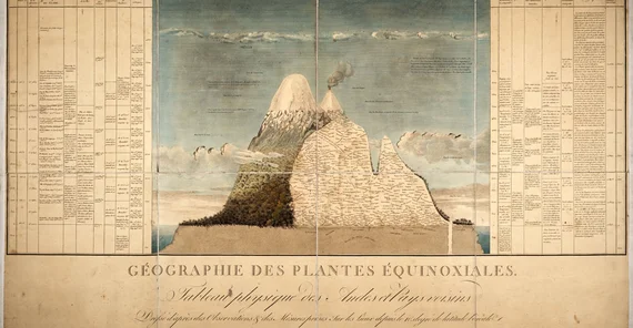 Humboldts "Naturgemälde der Tropenländer" | Foto: Peter H. Raven Library/Missouri Botanical Garden