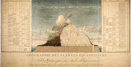 Humboldts "Naturgemälde der Tropenländer" | Foto: Peter H. Raven Library/Missouri Botanical Garden