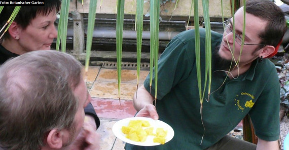 Exotische Früchte (Botanischer Garten) Exotische Früchte (Botanischer Garten)