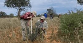 Zwei Forschende führen wissenschaftliche Messungen in der afrikanischen Savanne durch
