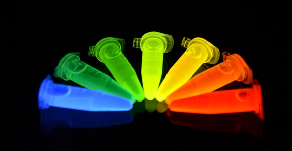 Foto: Dr. Carsten Hille Foto: Dr. Carsten Hille