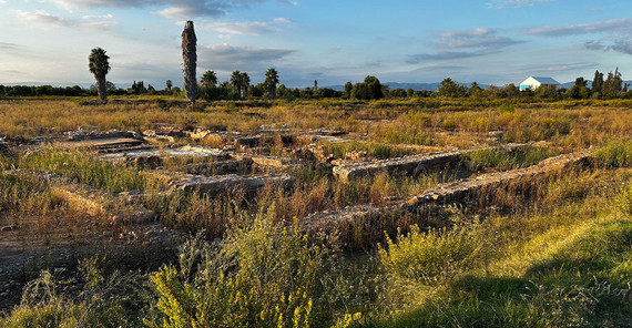 Die Grabungsstätte mit der Villa Maritima liegt vor den Studierenden