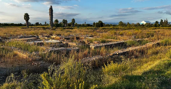 Die Grabungsstätte mit der Villa Maritima liegt vor den Studierenden