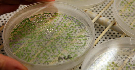 Picture: Andreas Klaer Picture: Andreas Klaer