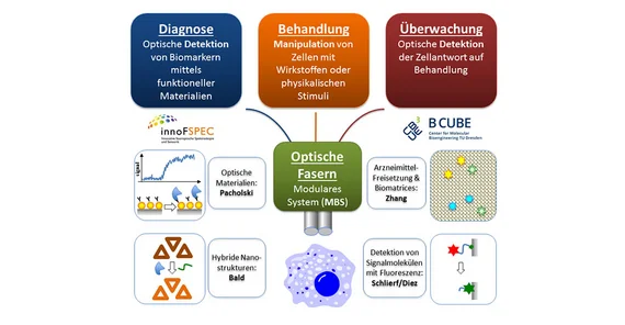 Vision of the MetaZIKs OptiZeD for the development of an integral multiparameter biosensor system (MBS). Photo: © Yixin Zhang