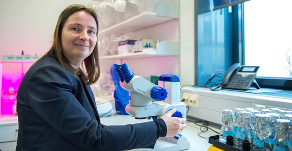 Prof. Dr. Elke Dittmann. Photo: Thomas Roese. Prof. Dr. Elke Dittmann. Photo: Thomas Roese.