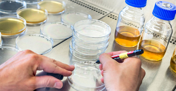 Die DFG hat ihre Leitlinien, die gute Wissenschaft sichern soll, überarbeitet. Nun müssen die Hochschulen sie umsetzen. | Foto: Thomas Roese Die DFG hat ihre Leitlinien, die gute Wissenschaft sichern soll, überarbeitet. Nun müssen die Hochschulen sie umsetzen. | Foto: Thomas Roese