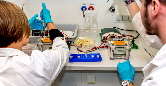 Foto: Im Chemielabor (Foto Karla Fritze) Foto: Im Chemielabor (Foto Karla Fritze)