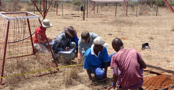 Researchers and students from Germany and South Africa collect data on vegetation composition as part of the South African outdoor drought experiment. The environment appears to be very arid.