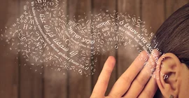 „Über.Hören“ – Das „Forum Religionen im Kontext“ lädt zu einer Tagung über die Klänge des Religiösen. | Abbildung: Montage ZIM Multimedia / stock.adobe.com - 197507521, 314306312, 197771940, 191453775