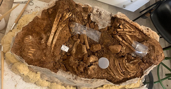 Auf einem Werkstattboden liegt eingefasst von textilen Halterung ein menschliches Skelett auf der Seite, die Beine angezogen, die Arme ebenfalls angewinkelt vor Oberkörper und Kopf. Es ist stark verwittert, diverse Knochen sind zerbrochen. Nur ein Teil der Oberfläche ist freigelegt. Die menschlichen überreste ruhen teils noch in der Erde, die mit in die Werkstatt transportiert wurde.