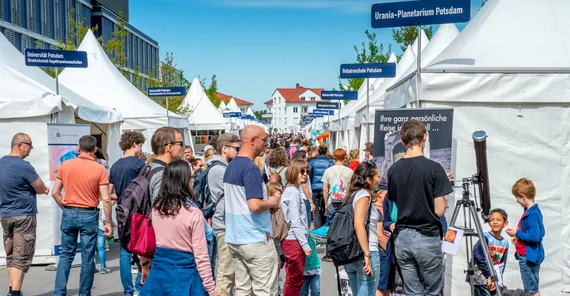 Das Forschercamp in Golm. Foto: Karla Fritze.