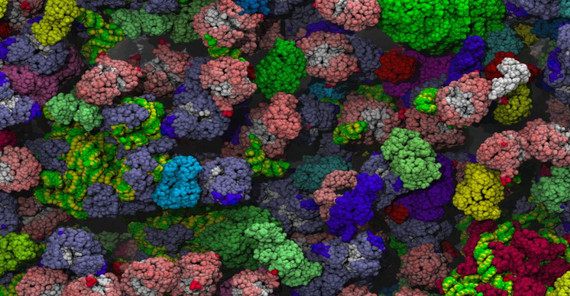 In der „Molekülsuppe“ von Zellen gehe es zu „wie nach einem Fußballspiel auf dem Bahnsteig. In der „Molekülsuppe“ von Zellen gehe es zu „wie nach einem Fußballspiel auf dem Bahnsteig: Da stoßen sich alle um“, sagt Prof. Dr. Ralf Metzler.